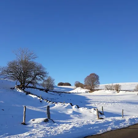 Maison Plein Pied Sur Grand Terrain Vielle