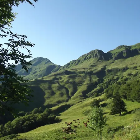 Maison Plein Pied Sur Grand Terrain Vielle