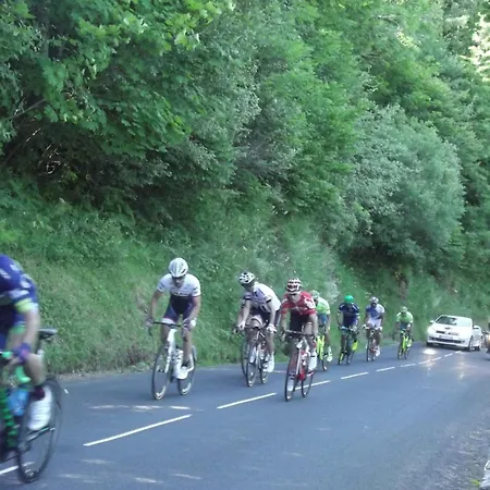 Maison Plein Pied Sur Grand Terrain Vielle *