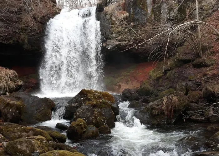 Maison Plein Pied Sur Grand Terrain Vielle Ytrac