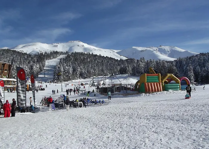 Maison Plein Pied Sur Grand Terrain Vielle *