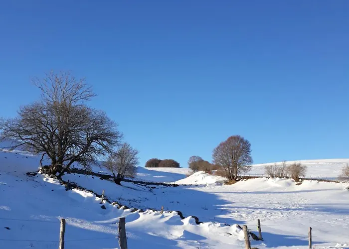 Maison Plein Pied Sur Grand Terrain Vielle