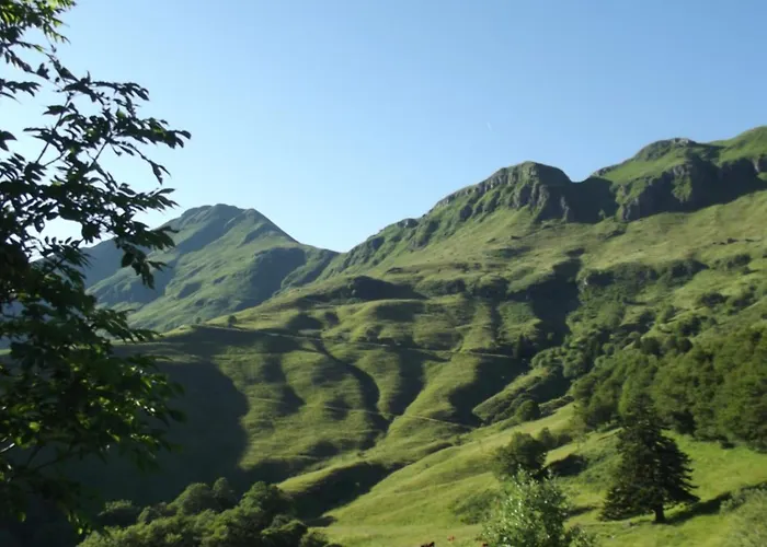 Maison Plein Pied Sur Grand Terrain Vielle