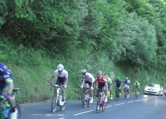 Maison Plein Pied Sur Grand Terrain Vielle *